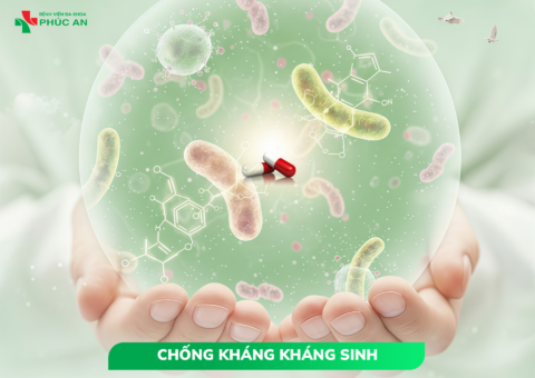 Chống kháng kháng sinh